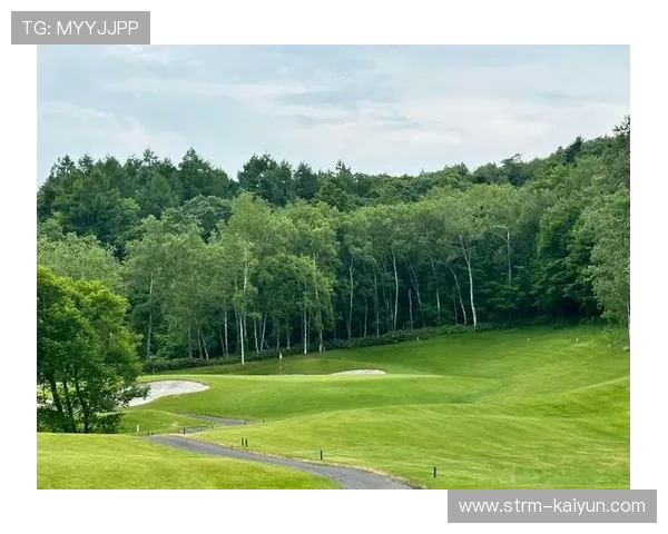 高尔夫球场结合环保技术与智能管理,推动可持续发展 高尔夫球场结合环保技术与智能管理,推动可持续发展
